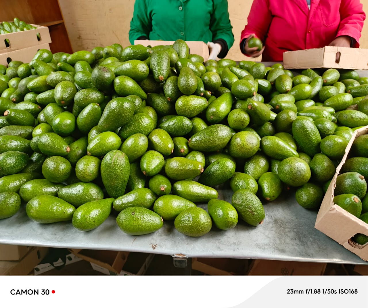 Fresh Kenyan produce