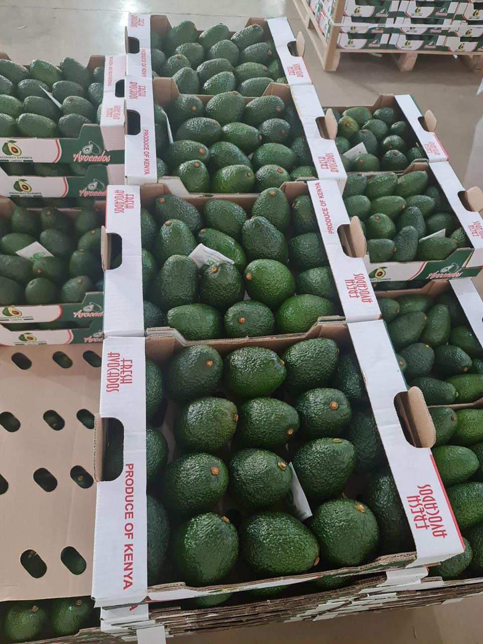 Fresh agricultural produce collection