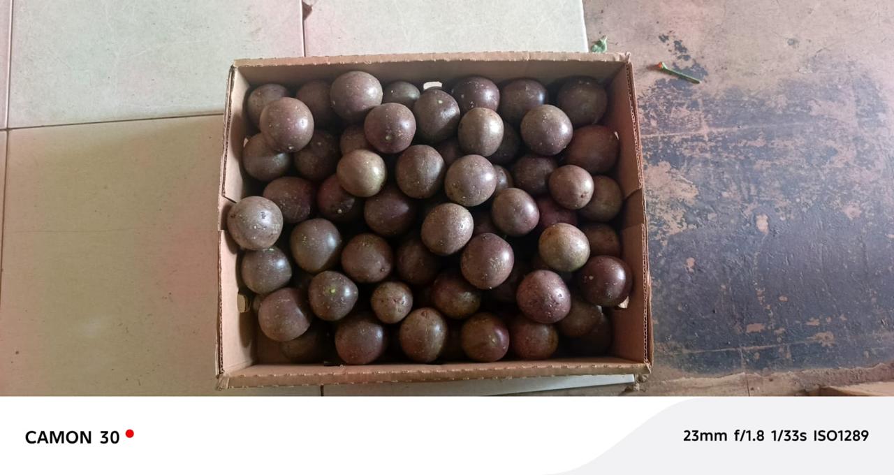 Produce handling and preparation environment