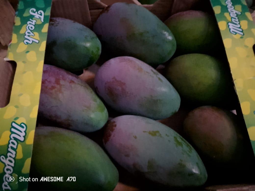 Fresh mangoes