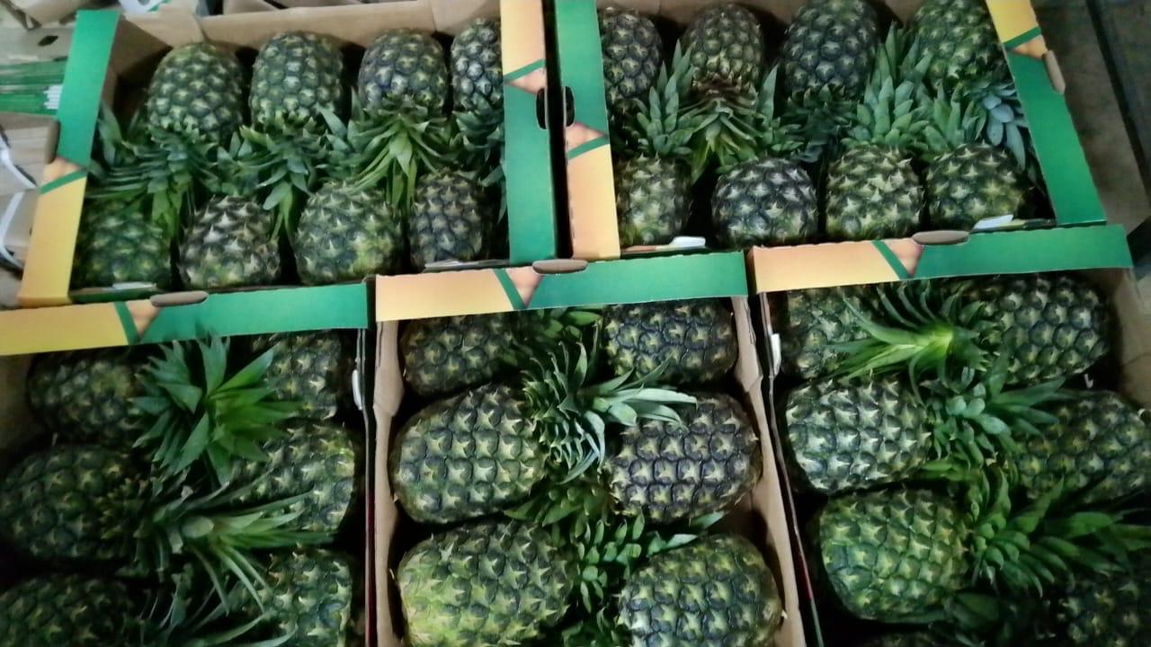 Fresh pineapples
